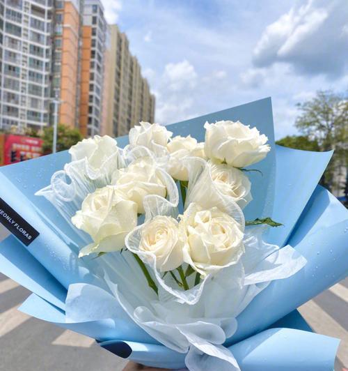 19朵玫瑰的神秘寓意（一束花背后的情感密码与象征意义）