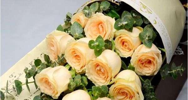 香槟玫瑰的花语及意义解读（探索香槟玫瑰背后蕴含的情感与象征）