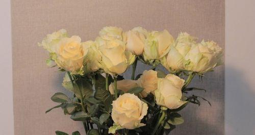 香槟玫瑰的花语及意义解读（探索香槟玫瑰背后蕴含的情感与象征）