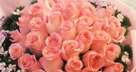 十一支玫瑰的象征意义（探寻十一支玫瑰背后的秘密）