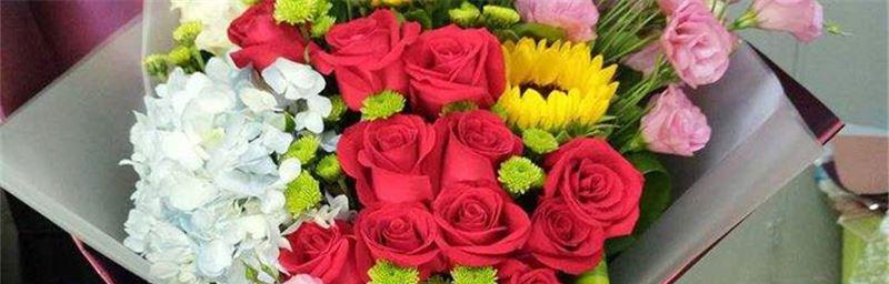 十一支玫瑰的象征意义（探寻十一支玫瑰背后的秘密）