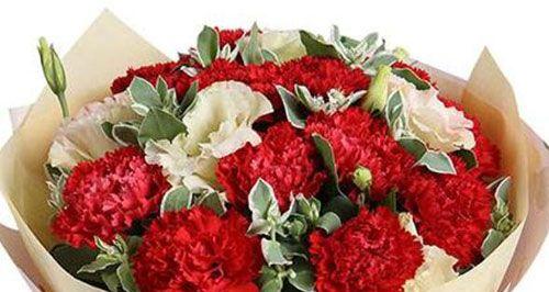 康乃馨（康乃馨传递着关爱与坚强）