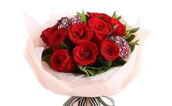 十一朵玫瑰花的象征意义（探寻十一朵玫瑰花所代表的含义）