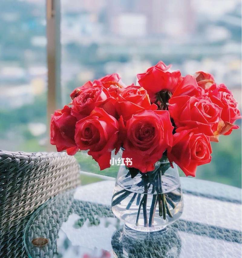十一朵玫瑰花的象征意义（探寻十一朵玫瑰花所代表的含义）