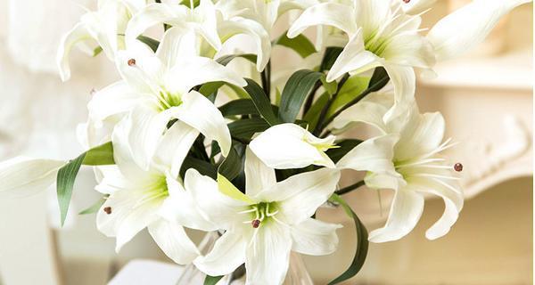 梯伯百合花语(揭示梯伯百合花语的深层内涵) 梯伯百合花语(揭示梯伯百合花语的深层内涵)