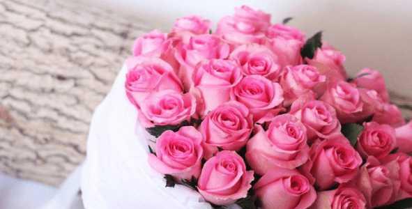 玫瑰花的数量与其所代表的含义（花海中的玫瑰）