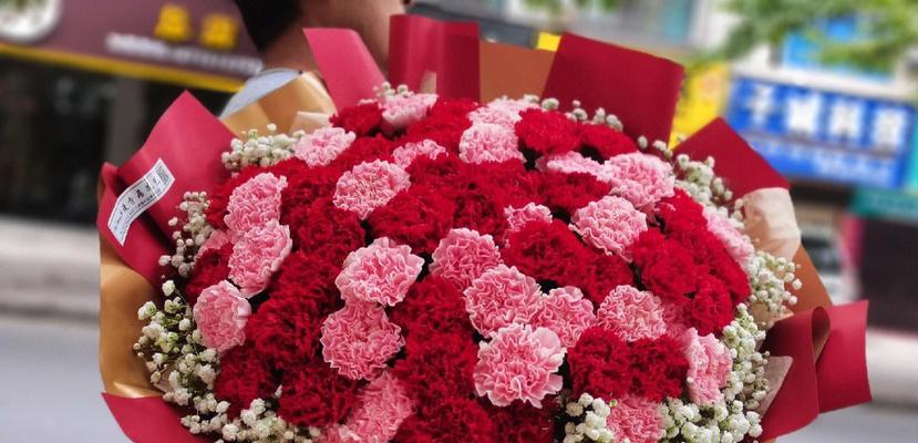 康乃馨花的意义和象征（了解康乃馨花的种种寓意与传达的情感）