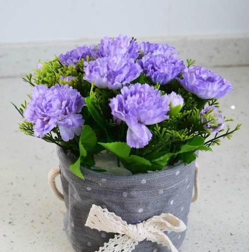 康乃馨花的意义和象征(了解康乃馨花的种种寓意与传达的情感)