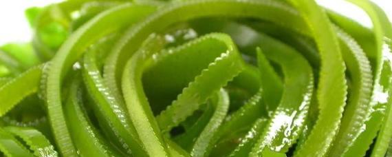 海带是水生植物吗?海带的生长环境和特性是什么? 海带是水生植物吗?海带的生长环境和特性是什么?