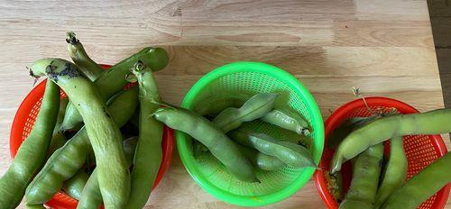 蚕豆怎么剥皮最快？剥皮技巧大公开！