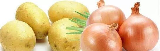 洋葱属于低等植物吗？洋葱的植物分类是什么？