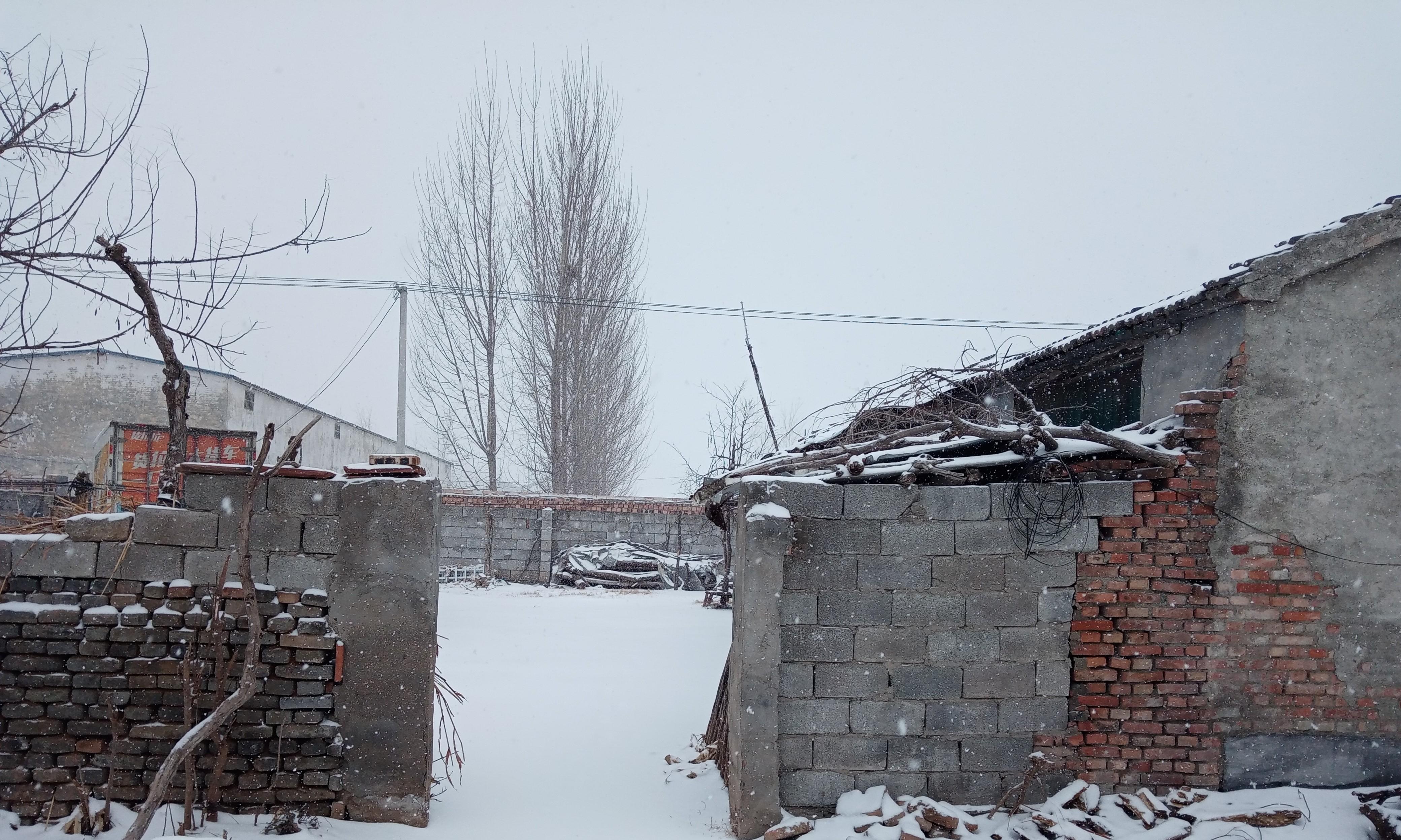 “冷不冷，就看九月廿五”，明日农历九月二十五啥预兆？今冬冷吗