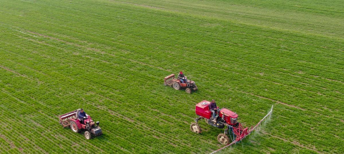 小麦晚种不减收的关键管理技术措施