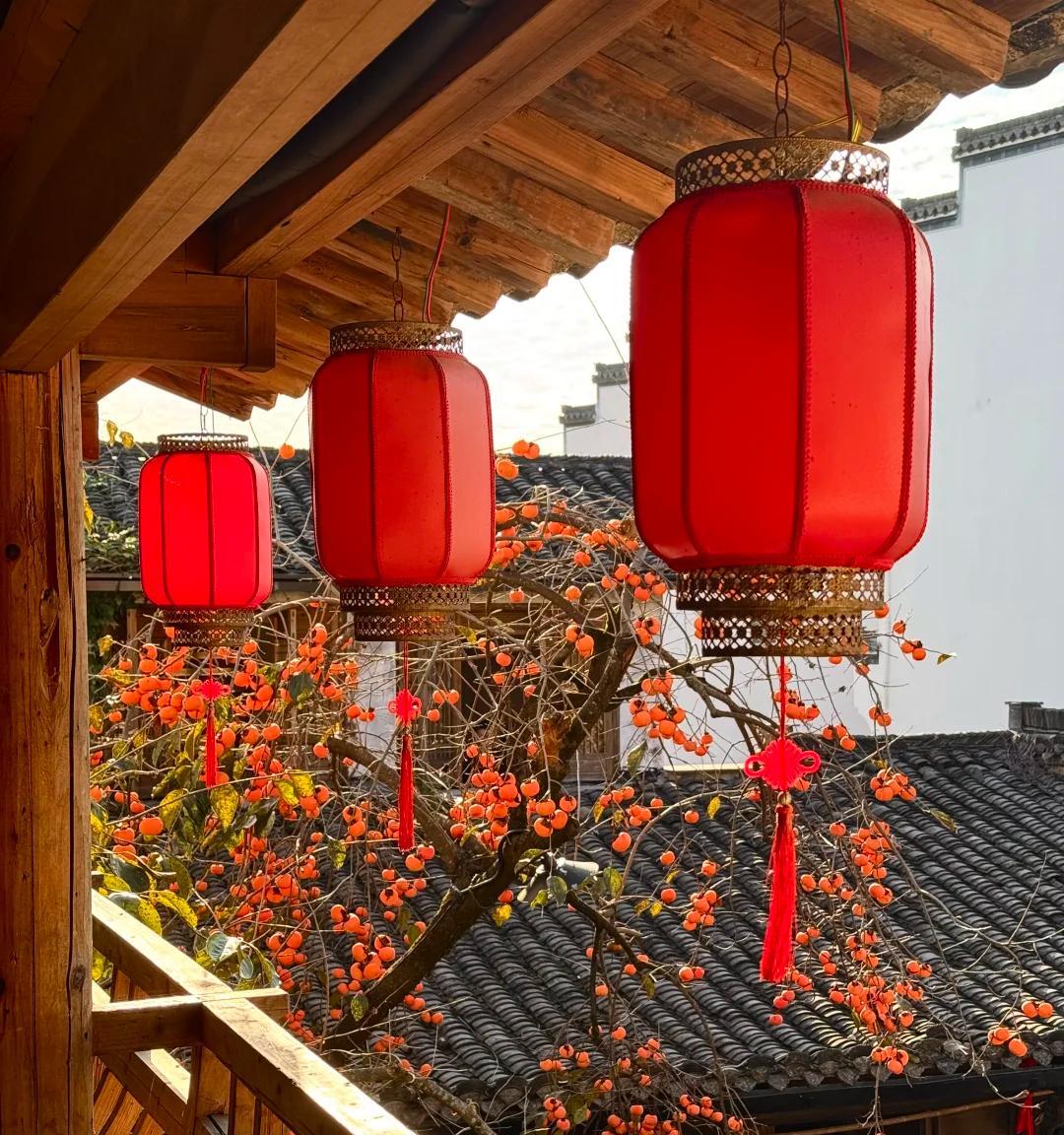 安徽一男子，因“老屋的一棵柿子树”走红，美成一幅画，好治愈吖