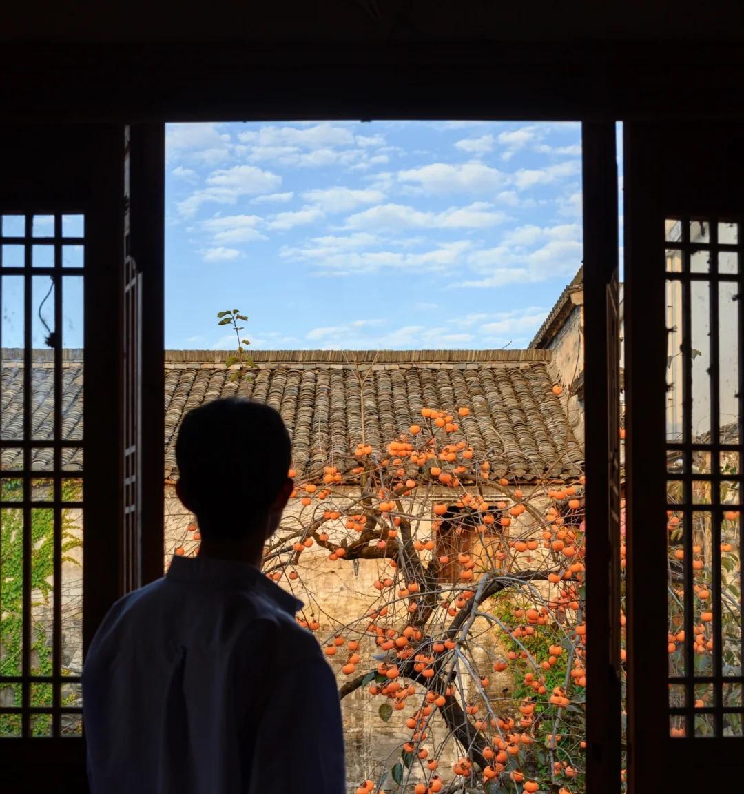 安徽一男子，因“老屋的一棵柿子树”走红，美成一幅画，好治愈吖