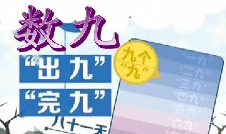 2025年数九天时间表出炉了!今年是公九还有母九?今冬冷到哭?_花植网