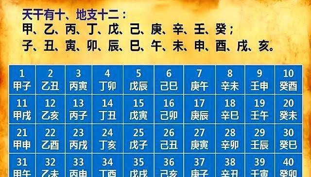 2025年数九天时间表出炉了!今年是公九还有母九?今冬冷到哭?_花植网