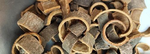 官桂有哪些神奇的功效？它的作用是什么？