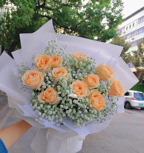 11朵香槟玫瑰的美丽象征与祝福（浪漫）