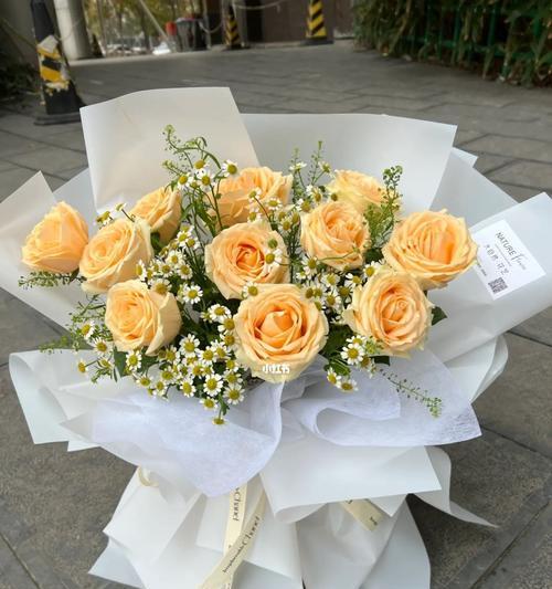 11朵香槟玫瑰的美丽象征与祝福（浪漫）