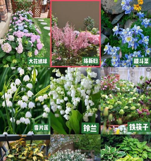 园林植物品种多的意义（多样性丰富）