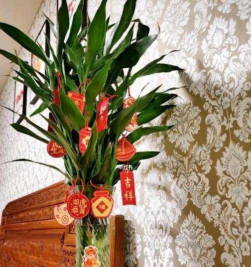 富贵竹花语与祝福之旅（传承财富）