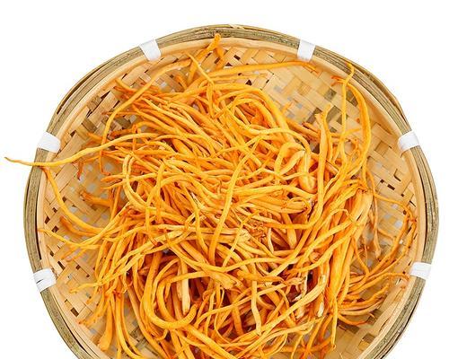 虫草花的别称是什么？它有哪些功效和用途？