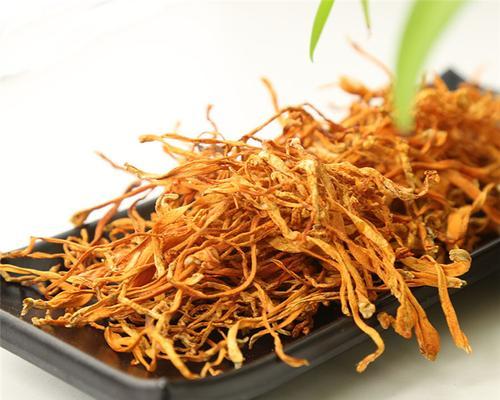 虫草花的别称是什么？它有哪些功效和用途？