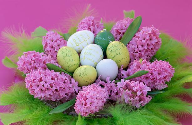 粉色风信子花语的深意（揭开粉色风信子花语的神秘面纱）