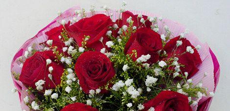 月季花的花语与寓意——花开花落，传递爱与美（解读月季花的象征意义）