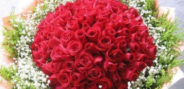 月季花的花语与寓意——花开花落，传递爱与美（解读月季花的象征意义）