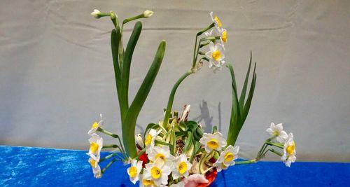 水仙雕刻（艺术与技艺的完美结合）