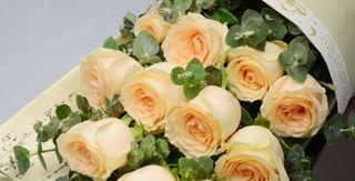 21朵玫瑰的花语（唯美而深刻）