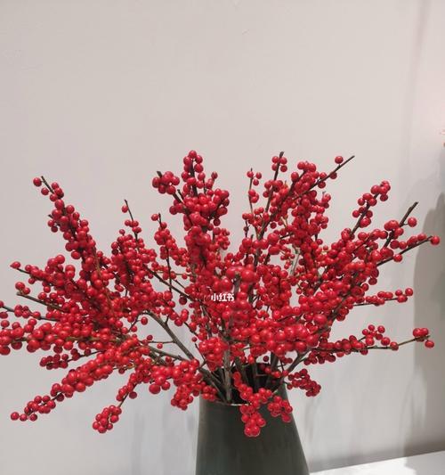 以冬青树的花语——生命的坚韧与希望（探寻冬青树的花语）