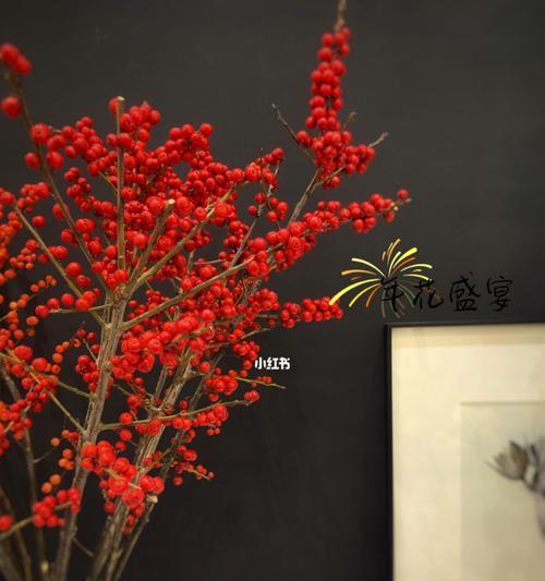 以冬青树的花语——生命的坚韧与希望（探寻冬青树的花语）