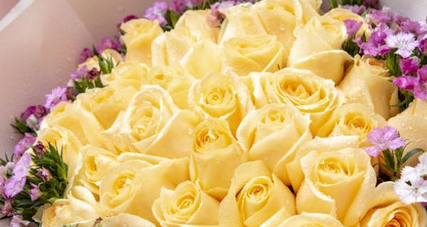 62朵玫瑰的花语及其象征意义（用一束玫瑰表达浓浓的爱意）