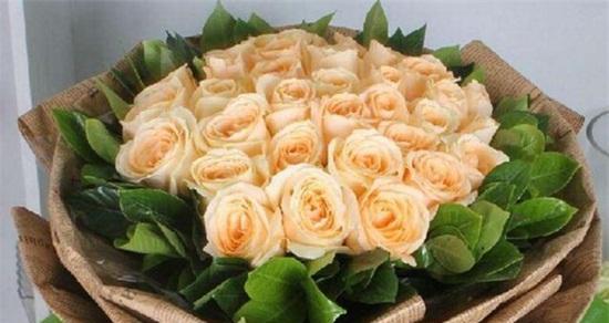 62朵玫瑰的花语及其象征意义（用一束玫瑰表达浓浓的爱意）