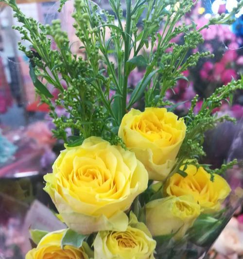 以花语代表友情的美好（探寻友情的花朵语言）