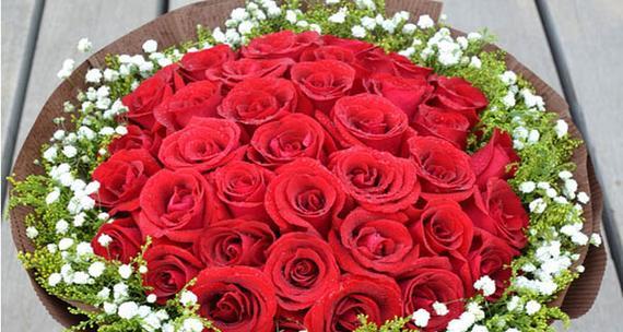 玫瑰花的花语及其意义（探寻玫瑰花背后的隐含信息）