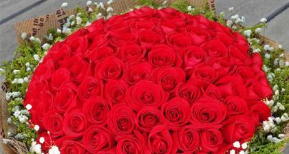 16朵玫瑰花的花语及意义（探究玫瑰花语之美丽与祝福）