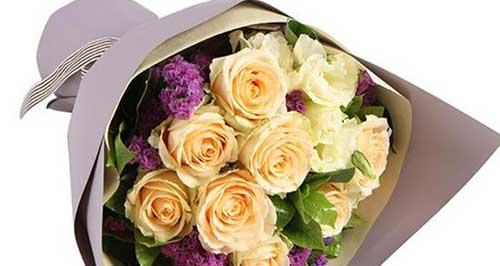 香槟玫瑰花语代表什么（解读香槟玫瑰的花语与象征意义）