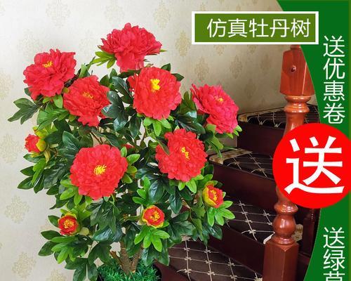 植物室内装饰的意义（为你的家带来生机与美丽）