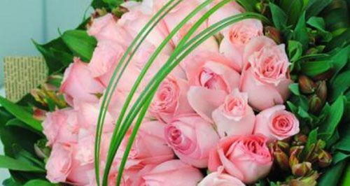 玫瑰花的花语与寓意（探寻玫瑰花的深层意义）