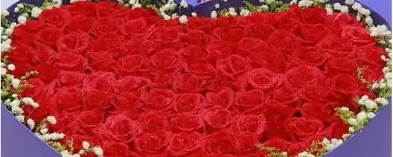 香菜的开花及其意义（香菜开花的原因与特点）