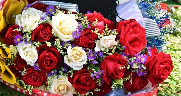 33朵玫瑰花代表什么意思？花语含义是什么？