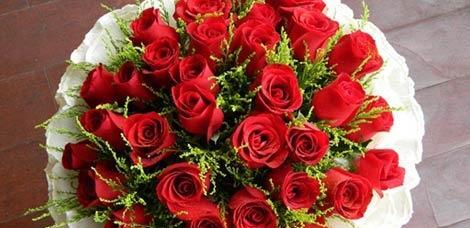 33朵玫瑰花代表什么意思？花语含义是什么？