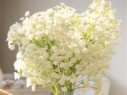 满天星花语揭示的真正含义（探寻满天星的花语奥秘）