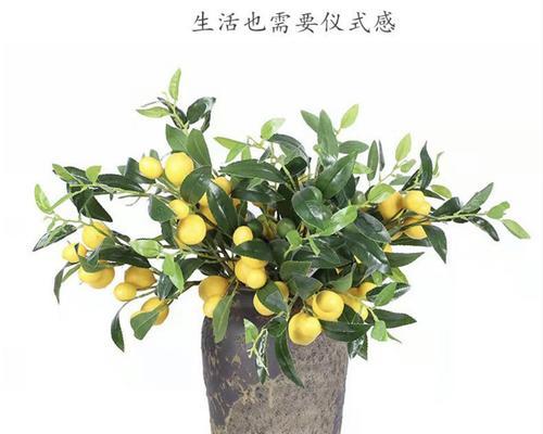 柠檬的象征意义与寓意（酸甜滋味背后的内涵）