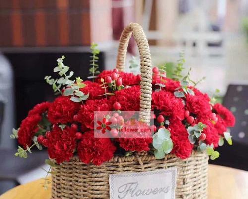 相思梅的花语——爱的期许（相思梅花开）