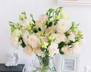 卧室摆放鲜花有哪些好处和注意事项?